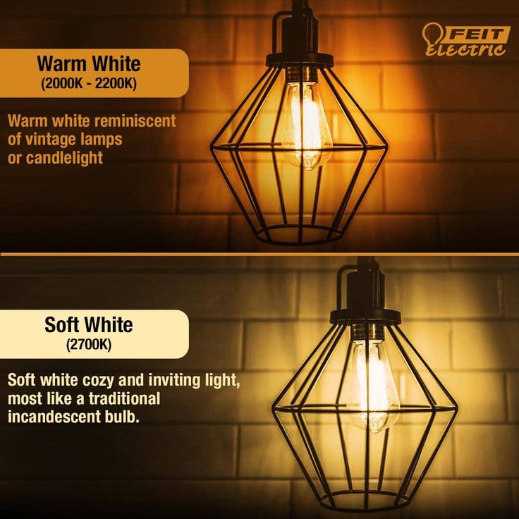 Feit Electric 100-Watt Equivalent ST19 Dimmable LED Amber Glass Vintage Edison Light Bulb With Straight Filament Warm White (12-Pack)