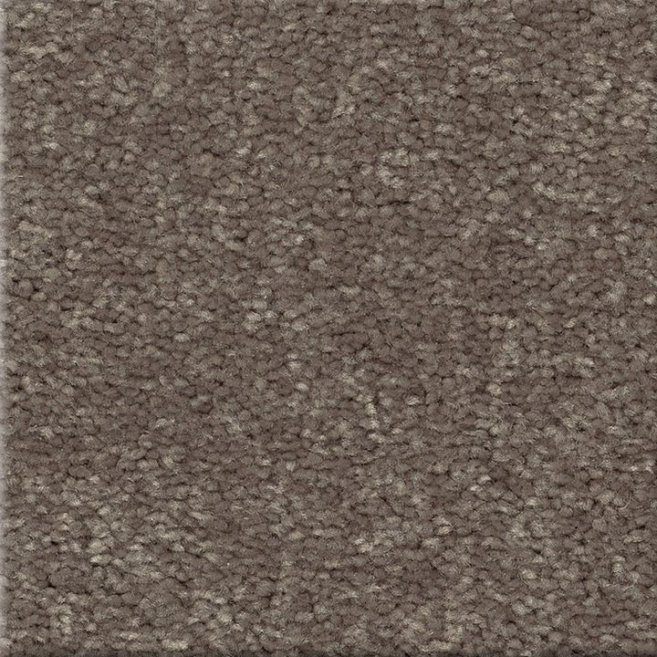 STAINMASTER Essentials Blue Diamonds I 12-ft Pewter Textured Carpet Sample (Interior)