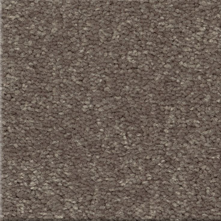 STAINMASTER Essentials Blue Diamonds III 12-ft Iron Textured Carpet Sample (Interior)