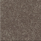 STAINMASTER Essentials Blue Diamonds III 12-ft Iron Textured Carpet Sample (Interior)