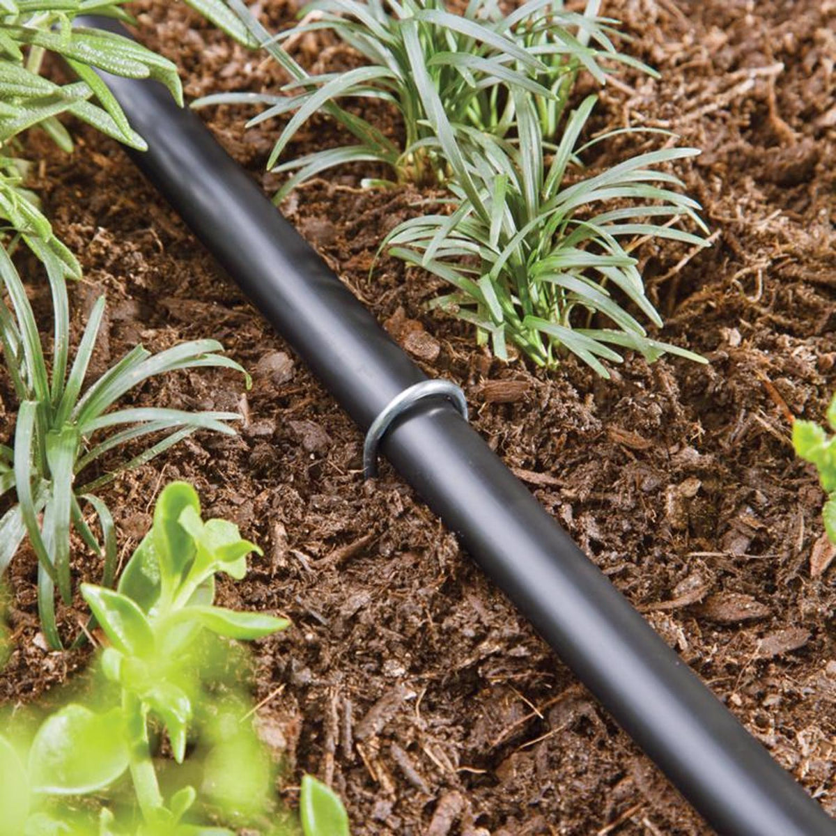 Raindrip Drip Irrigation Tubing Stake, 8 in. Height, 15-Pack