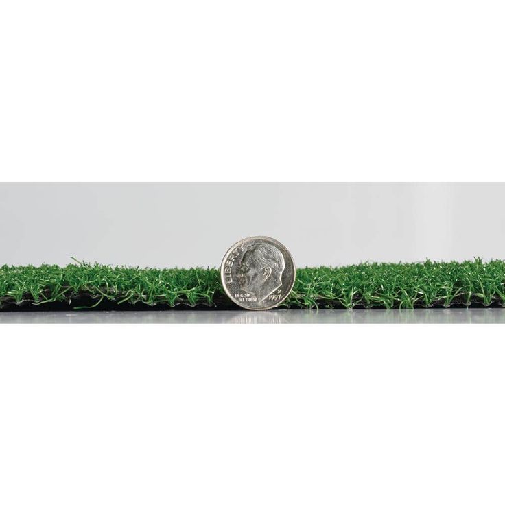 TrafficMaster Putting Green Turf 6 ft. x 8 ft. Artificial Grass Rug