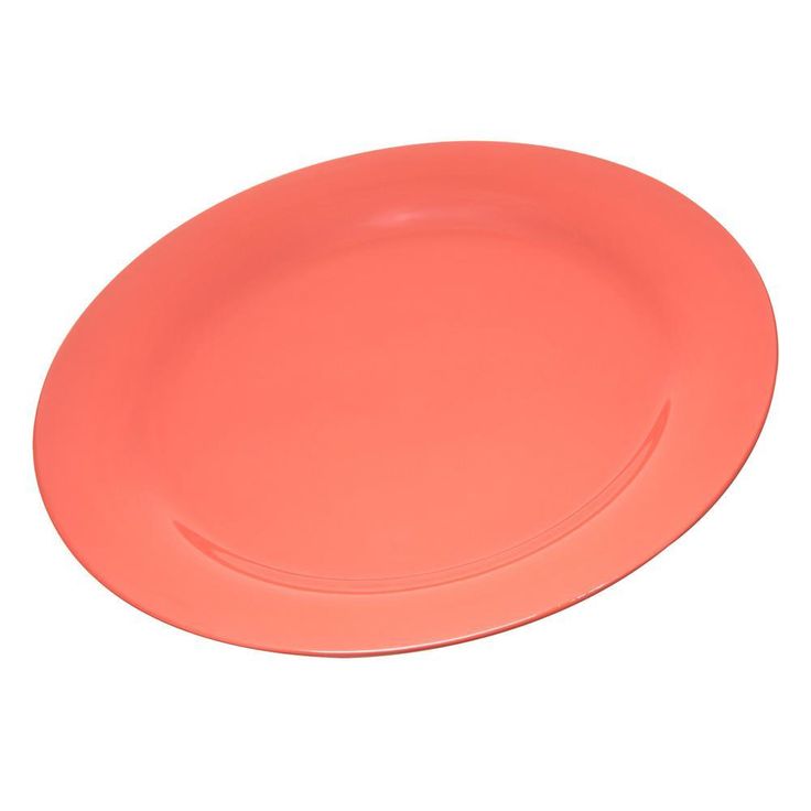 Durus 9 in. White Melamine Narrow Rim Dinner Plate (24-Pack)