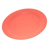 Durus 9 in. White Melamine Narrow Rim Dinner Plate (24-Pack)