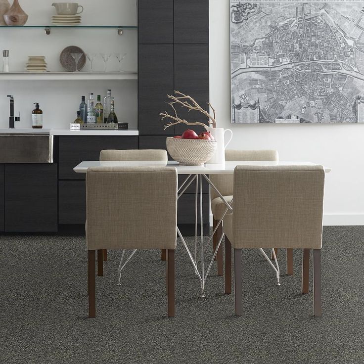 STAINMASTER PetProtect Baxter I Charlie Textured Carpet (Indoor)