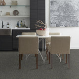 STAINMASTER PetProtect Baxter I Charlie Textured Carpet (Indoor)