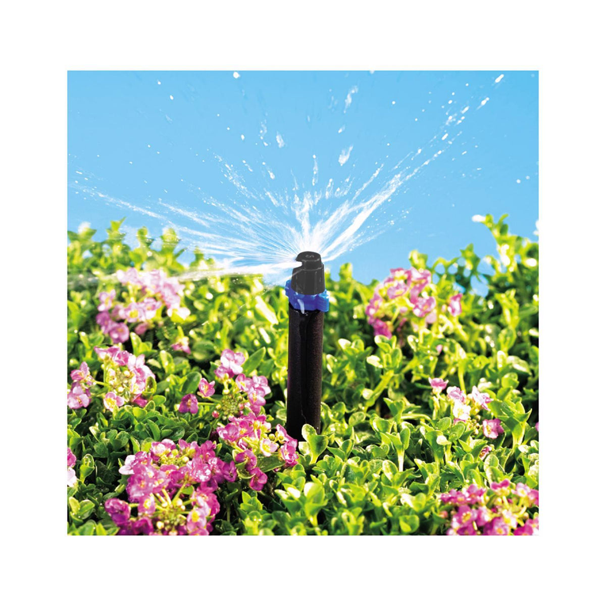 Raindrip Quarter-Circle Drip Irrigation Micro Spray 11.9 GPH, 10-Pack