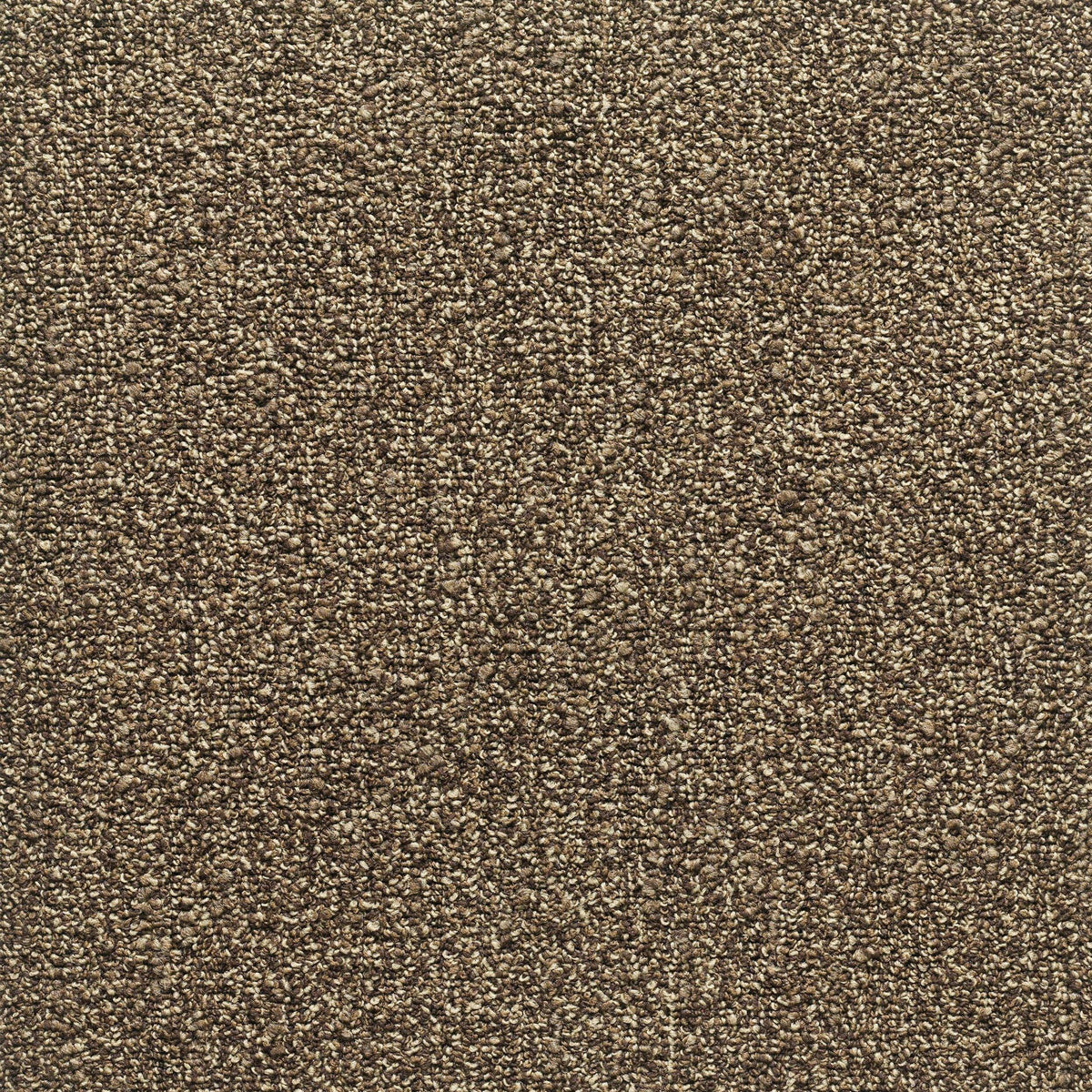 Horsforth 24" x 24" (72SF/carton) carpet tile in SLATEN SKY - Super Arbor