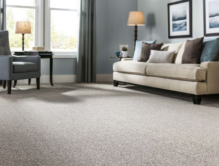 STAINMASTER PetProtect Concord Mystical Charm Textured Carpet (Indoor)