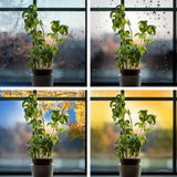 14 in. 86-Watt Integrated Full Spectrum LED Non-Dimmable Indoor High Bay Plant Grow Light Fixture, Daylight