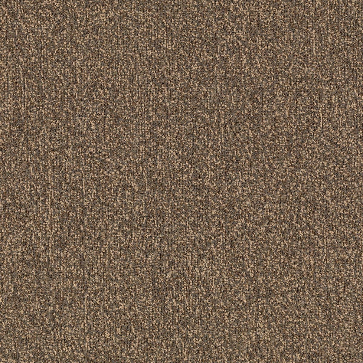 Horsforth 24" x 24" (72SF/carton) carpet tile in SLATEN SKY - Super Arbor