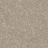 STAINMASTER Essentials Blue Diamonds I 15-ft Greige Textured Carpet (Indoor)