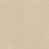 MSI Monterosa Beige 20 in. x 20 in. Polished Porcelain Floor and Wall Tile (19.44 sq. ft. / case)