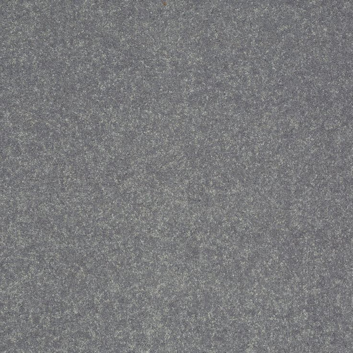 STAINMASTER Essentials Intuition III 12-ft Silver Dollar Textured Carpet Sample (Interior)