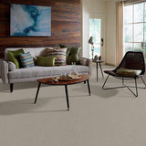 STAINMASTER PetProtect Baxter II Harley Textured Carpet (Indoor)