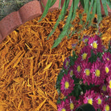 2 cu. ft. Cypress Mulch Blend - Super Arbor