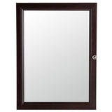 Delridge 22 in. W x 30 in. H x 6 in. D Framed Surface-Mount Modular Bathroom Medicine Cabinet in Chocolate