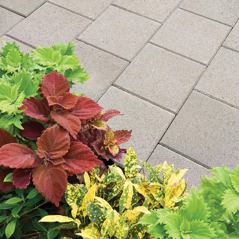 24 in. x 24 in. x 1.96 in. Pewter Square Concrete Step Stone (14-Pieces/56 sq. ft./Pallet) - Super Arbor