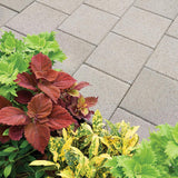 24 in. x 24 in. x 1.96 in. Pewter Square Concrete Step Stone (14-Pieces/56 sq. ft./Pallet) - Super Arbor