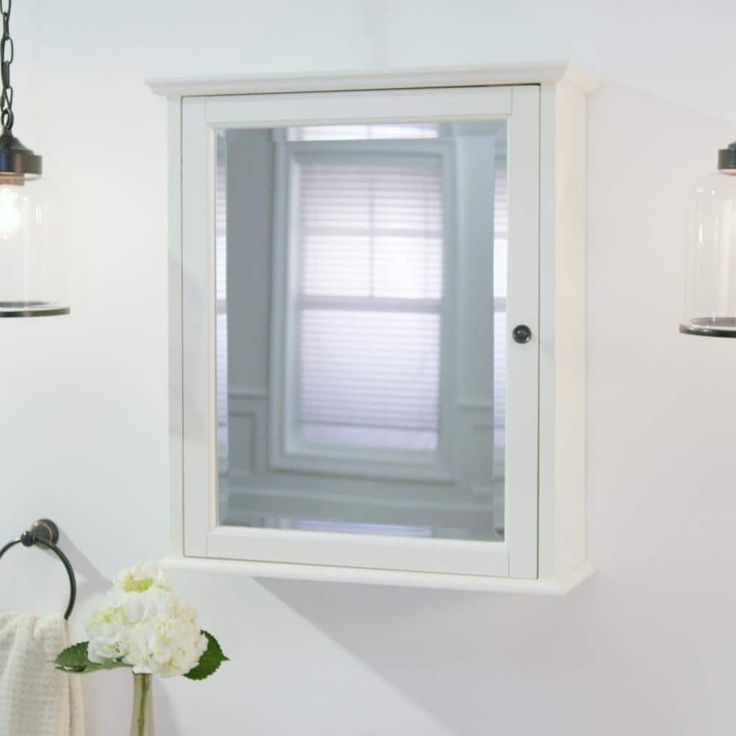 Home Decorators Collection Hamilton 24 in. W x 27 in. H Rectangular Medicine Cabinet with Mirror