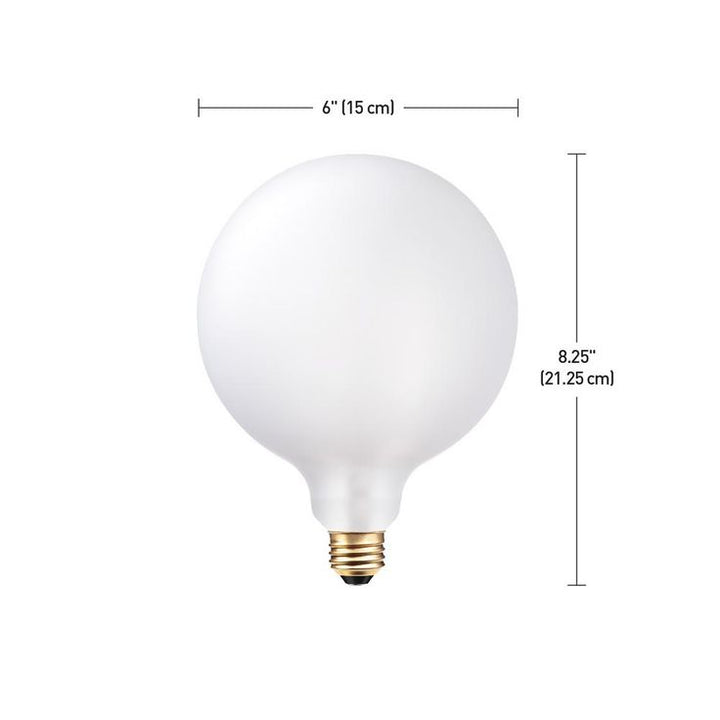 Globe Electric 60-Watt G150 Oversized Vintage Edison Incandescent Light Bulb