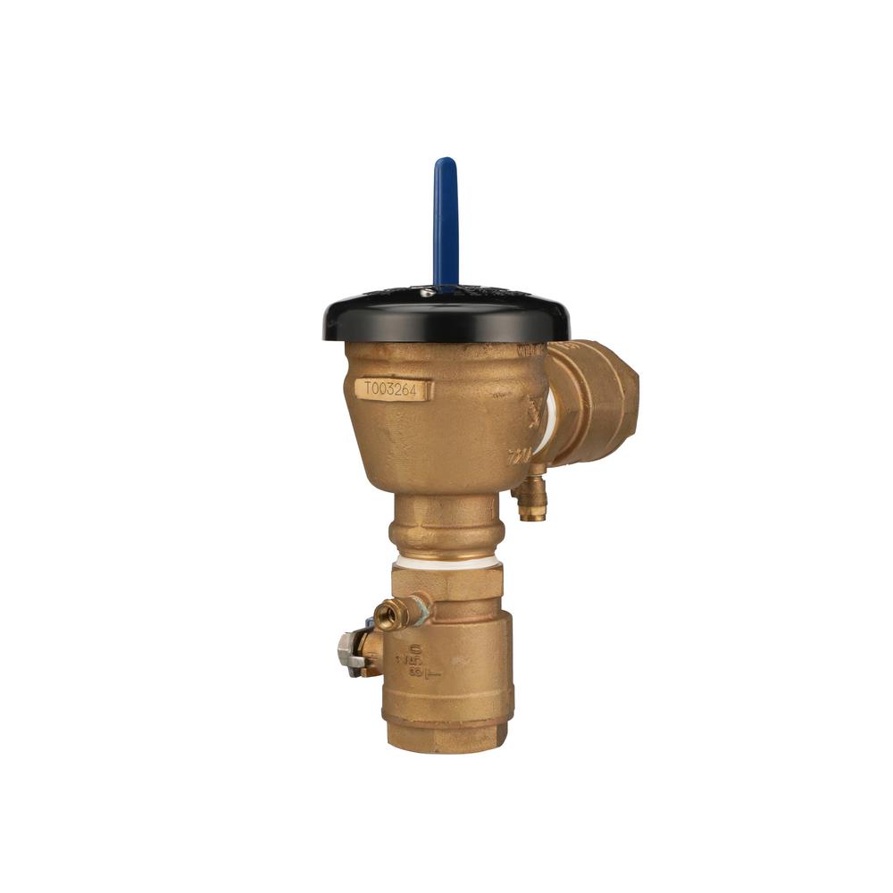 2 in. Pressure Vacuum Breaker Assembly - Super Arbor