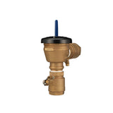 2 in. Pressure Vacuum Breaker Assembly - Super Arbor