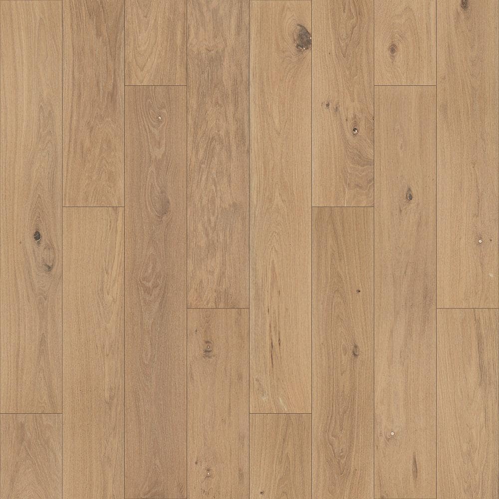Pergo Defense+ Beachwood Park Oak 3/8 in. T x 7.5 in. W Click Lock W Brushed Engineered Hardwood Flooring (24.5 sq.ft./case)