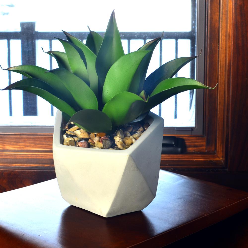 Mosser Lee 5 lbs. River Pebbles in Storage Jar - Super Arbor