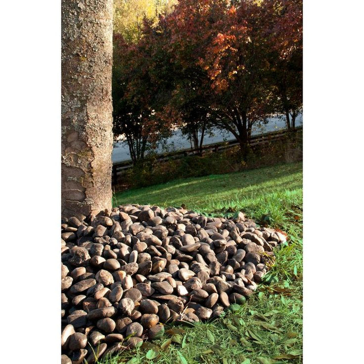 MSI Ash Beach 0.5 cu. ft. 3 cm to 5 cm River Rock 40 lbs. Bag (21-Bags/Pallet)