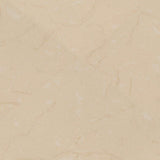 MSI Monterosa Beige 20 in. x 20 in. Polished Porcelain Floor and Wall Tile (19.44 sq. ft. / case)