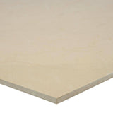 MSI Monterosa Beige 20 in. x 20 in. Polished Porcelain Floor and Wall Tile (19.44 sq. ft. / case)
