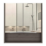 Zeus & Ruta Beige 23.6 in. W x 24.6 in. H Rectangular Particle Board Mirror Medicine Cabinet with Mirror Surface Mount Double Door
