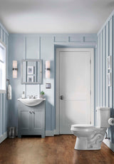 Style Selections Euro 25-in Gray Single Sink Bathroom Vanity with White Cultured Marble Top