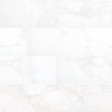 Carrara 24 in. x 24 in. Polished Porcelain Floor and Wall Tile (16 sq. ft. / case) - Super Arbor