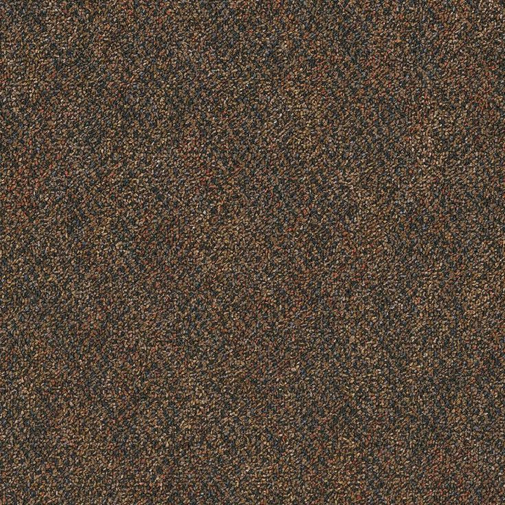 Engineered Floors High Falls Sneak Peak Loop 24 in. x 24 in. Carpet Tile (18 Tiles/Case)