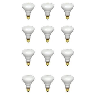 Feit Electric 65-Watt Soft White Dimmable Incandescent BR30 Flood Light Bulb Maintenance Pack (12-Pack) - Super Arbor