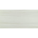 MSI Bianco Dolomite 24 in. x 48 in. Polished Porcelain Stone Look Floor and Wall Tile (16 sq. ft. /Case)
