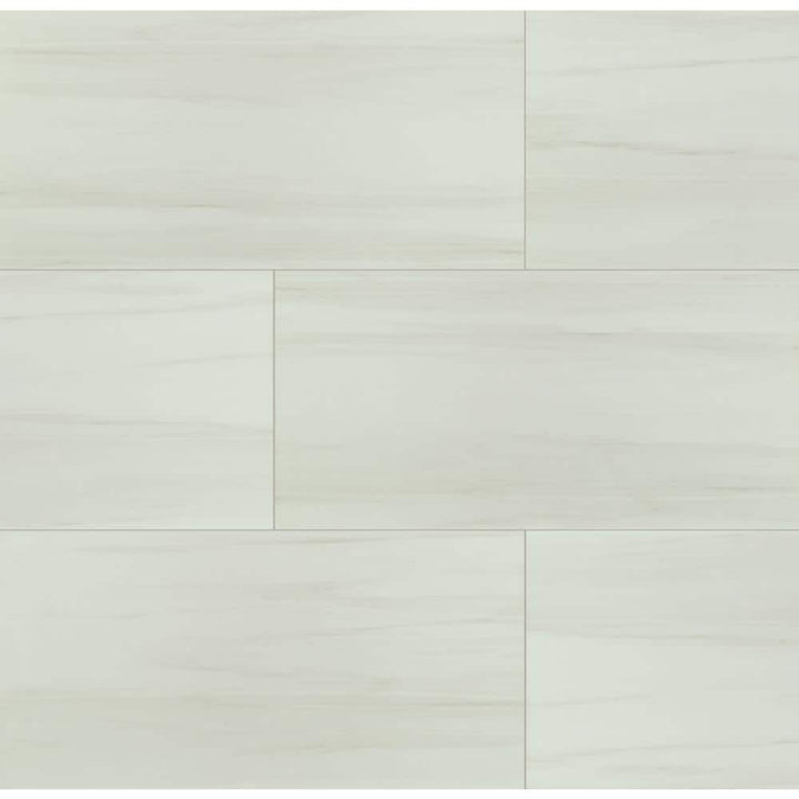 MSI Bianco Dolomite 24 in. x 48 in. Polished Porcelain Stone Look Floor and Wall Tile (16 sq. ft. /Case)