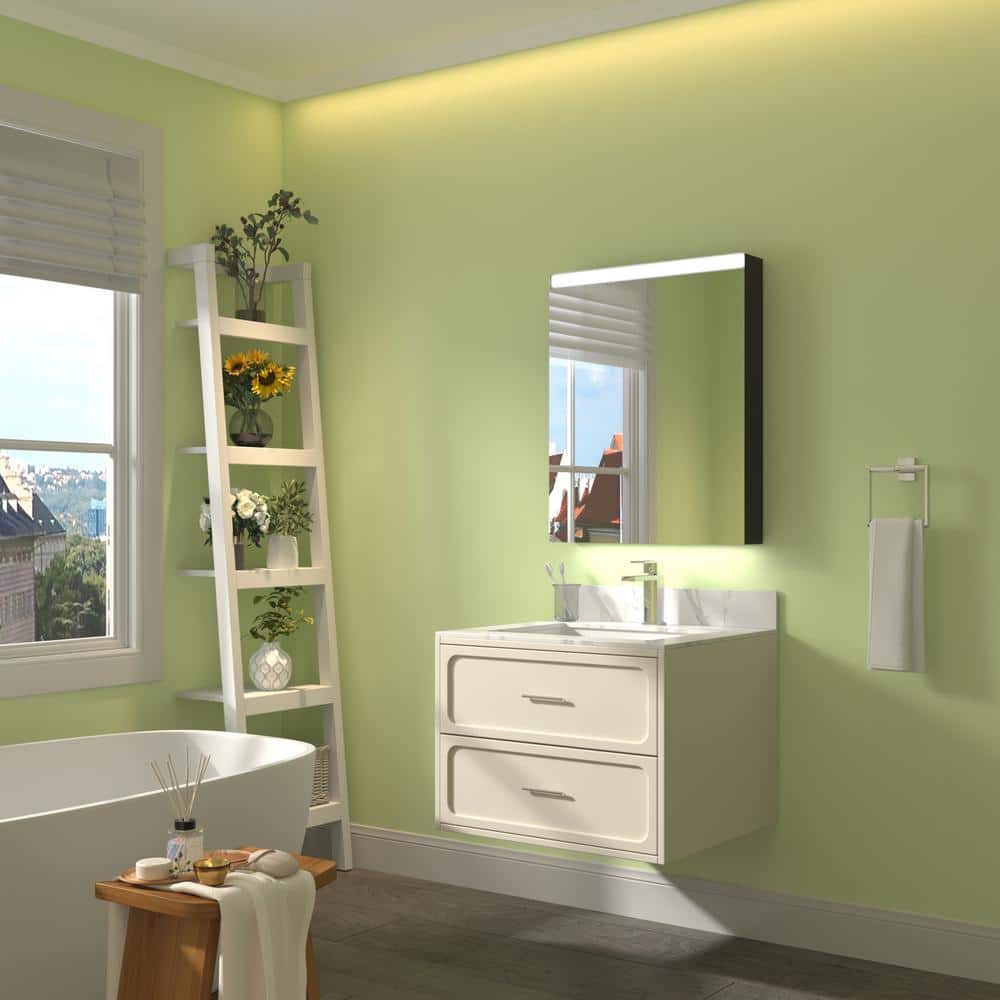 ExBrite 24 in. W x 30 in. H Rectangular Silver Aluminum Surface Mount Medicine Cabinet with Mirror, LED Light