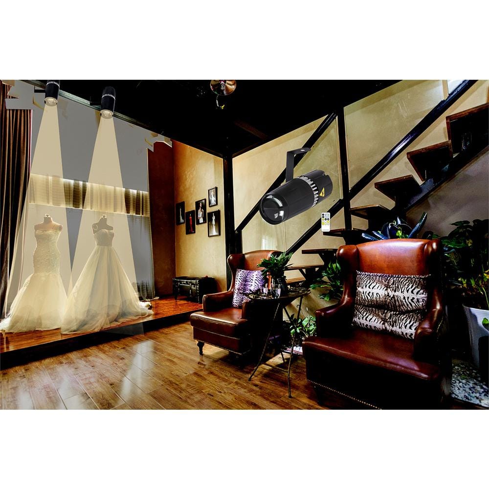 6W LED pinspot Stage Light, Double White/Cool White & Warm White pinspot by IR Controller