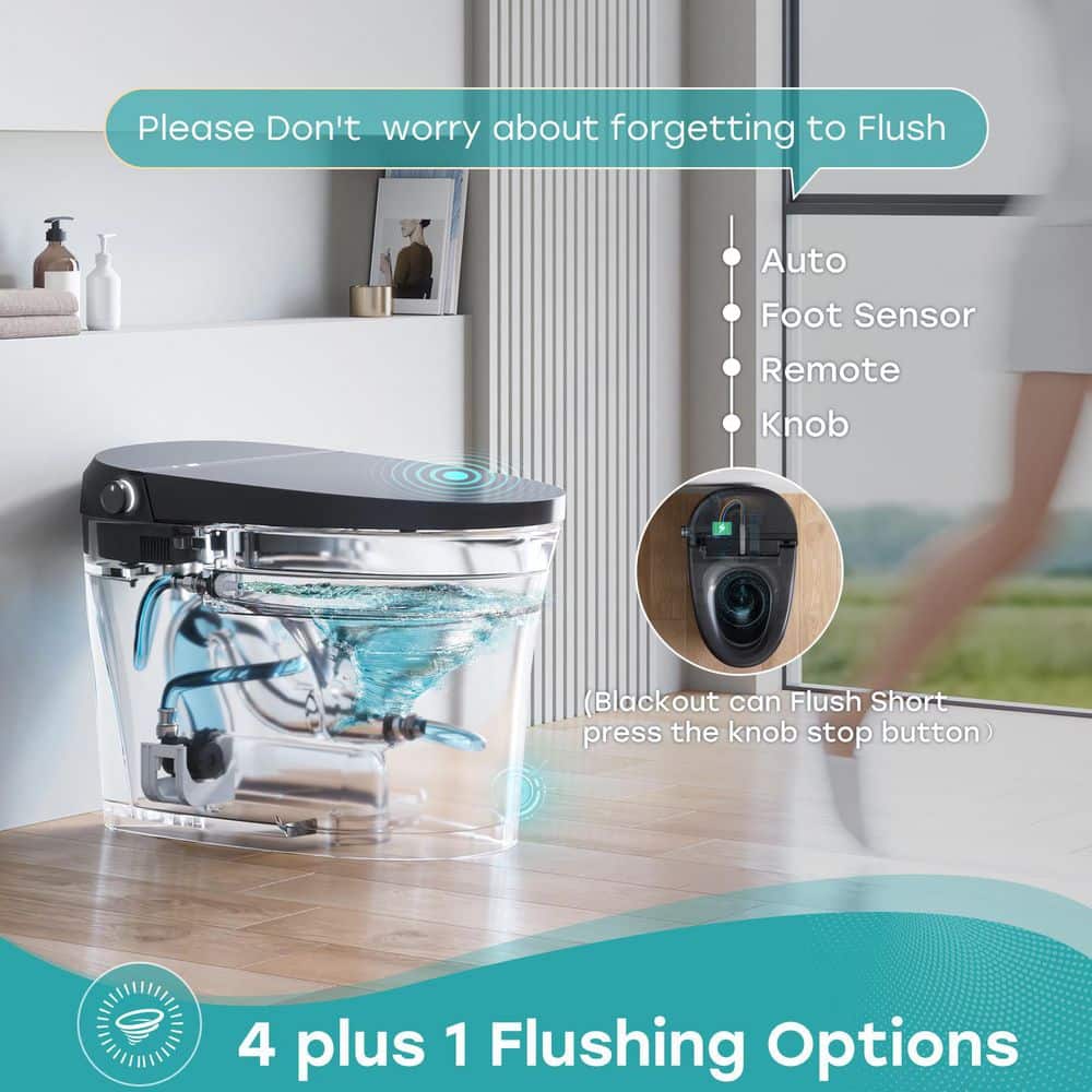 HOROW T36 Unique Black Smart Bidet Toilet with Auto Flush & LED Screen