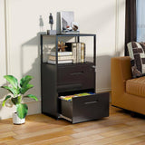 LISSIMO 41.3 in. H x 23.6 in. W x 15.7 in. D Garage Cabinet, 2 Tier Metal File Cabinet with Shelves, 2 Lockable Drawers in Black