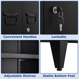 LISSIMO 31.5 in. W 2-Shelf Locker, Lockable Home Office Storage Cabinets with 2 Doors and Shelves for Home, Office in Black