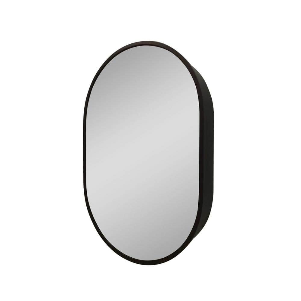 Unbranded 24 in. W x 36 in. H Black Aluminum Framed Oval Wall Mount/Recessed Bathroom Medicine Cabinet with Mirror