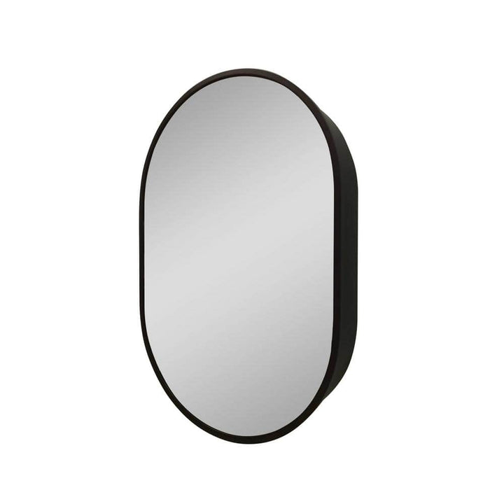 Unbranded 24 in. W x 36 in. H Black Aluminum Framed Oval Wall Mount/Recessed Bathroom Medicine Cabinet with Mirror