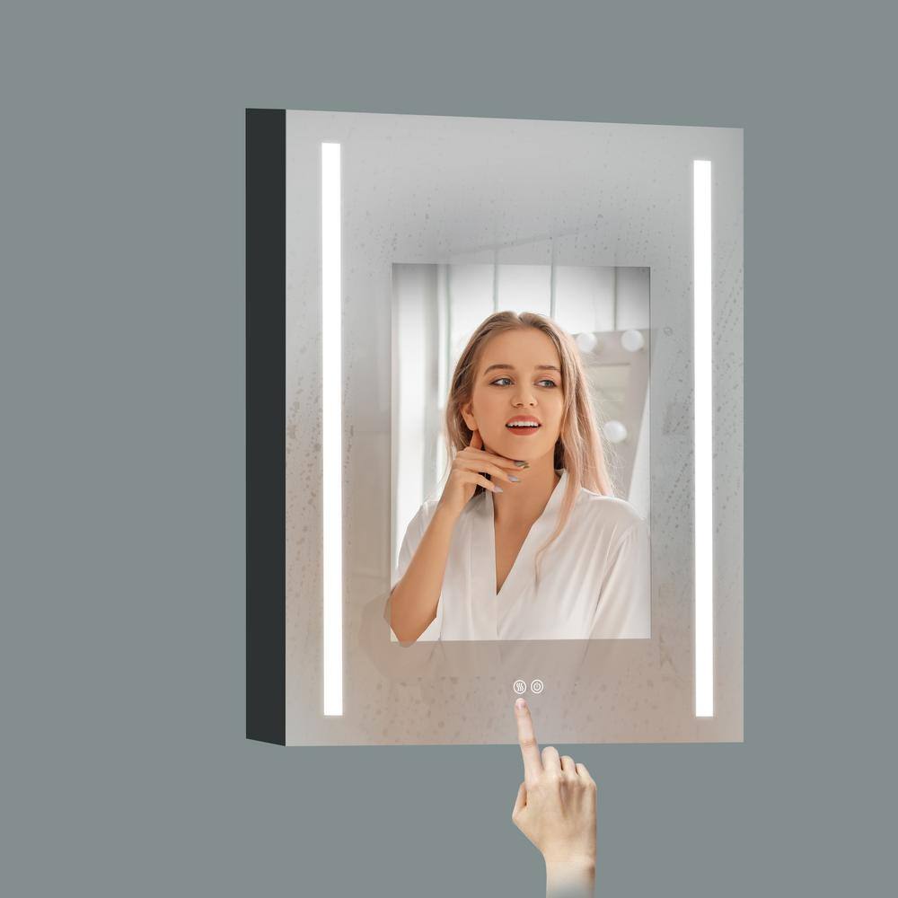 Unbranded Modern 20 in. W x 30 in. H Black Rectangular Surface Mount Framed Bathroom Medicine Cabinet with Mirror (Right Open)