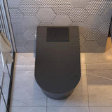 MEDUNJESS M-G Elongated Black Smart Toilet with Auto Features and Heated Seat