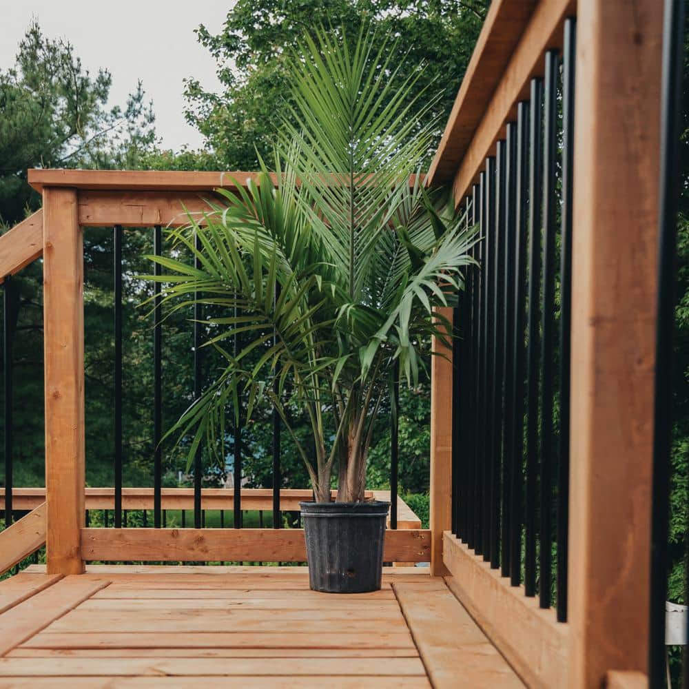 NUVO IRON 26 in x 1 in Round Baluster And Connector Combo Kit for Decks And Stairs