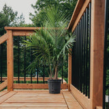 NUVO IRON 26 in x 1 in Round Baluster And Connector Combo Kit for Decks And Stairs